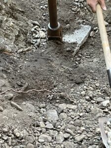 Starting the backfill