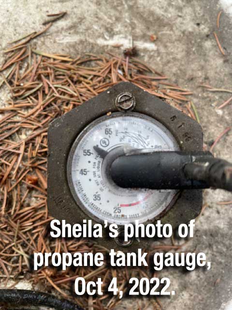 Propane-2-Sheila