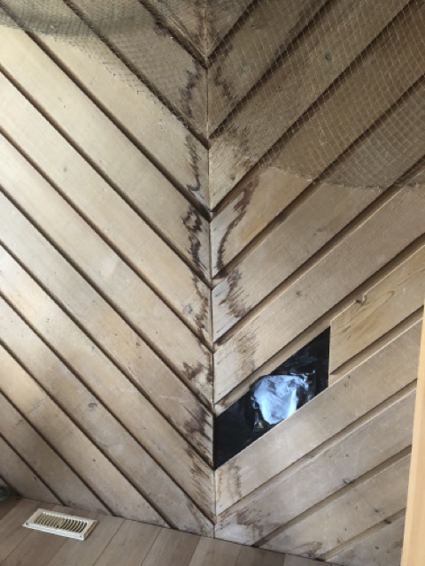 Water damage